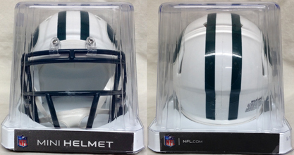 NFL & NCAA COLLEGE FOOTBALL Riddell  {[V Xs[h vJ ~jwbg