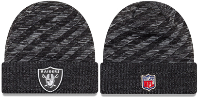 NFL ObY NewEra / New Era ( j[G ) knit cap ʔ 